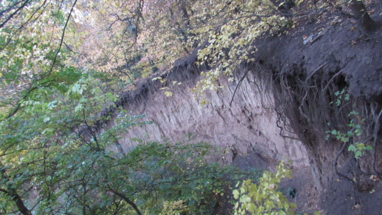 Оползень в центре Лисичанска- угроза жизни! (Видео) – ZARAZ.INFO