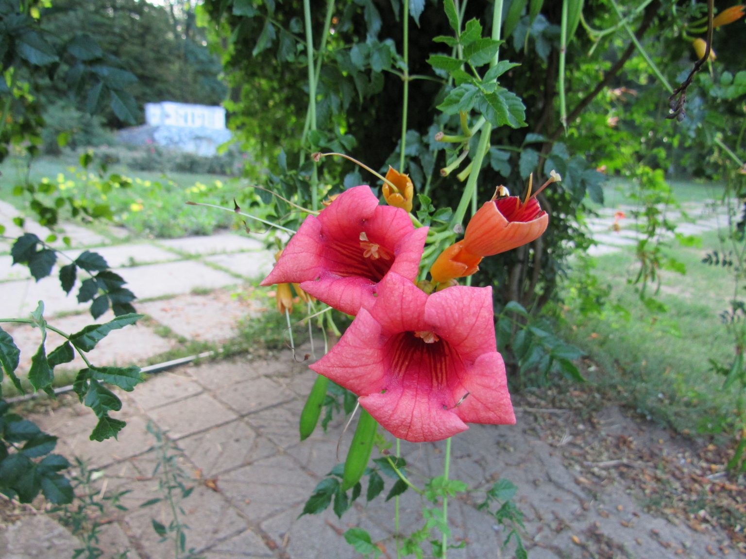 Возраст Счастья — ZARAZ.INFO