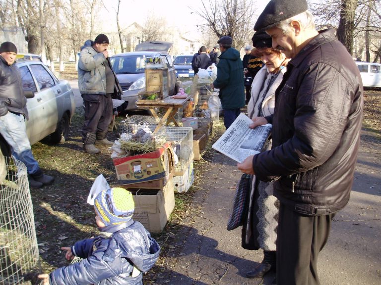 Птичий рынок воронеж фото