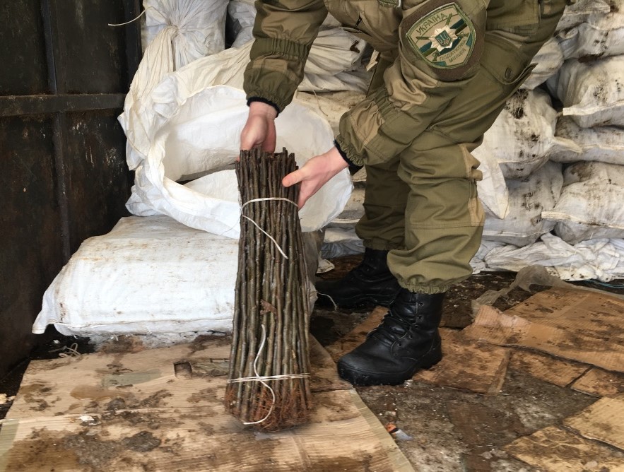 Закон Об Одноразовых Продуктах